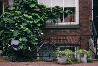 AirBnB