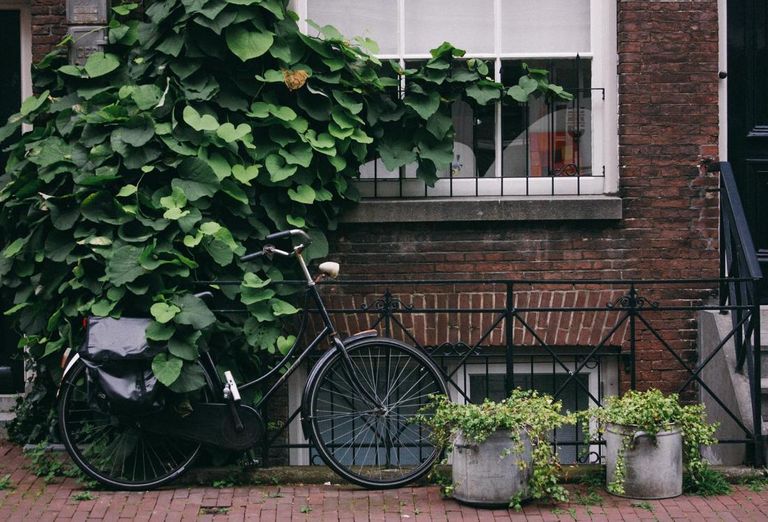 AirBnB