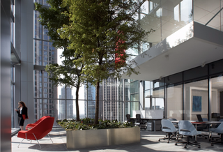 Workplace Wellness: Comparing The Rating Systems