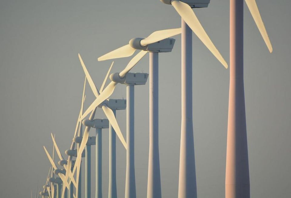 wind farm
