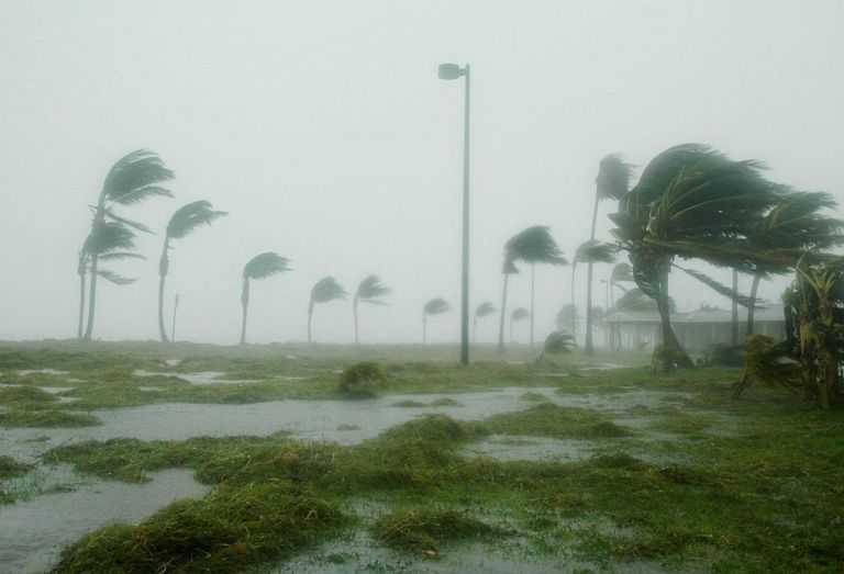 Hurricane, flooding winds