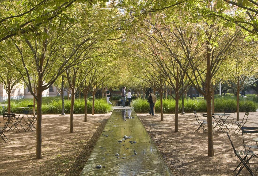 BROCHSTEIN PAVILION At Rice University