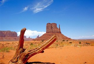 Plateau