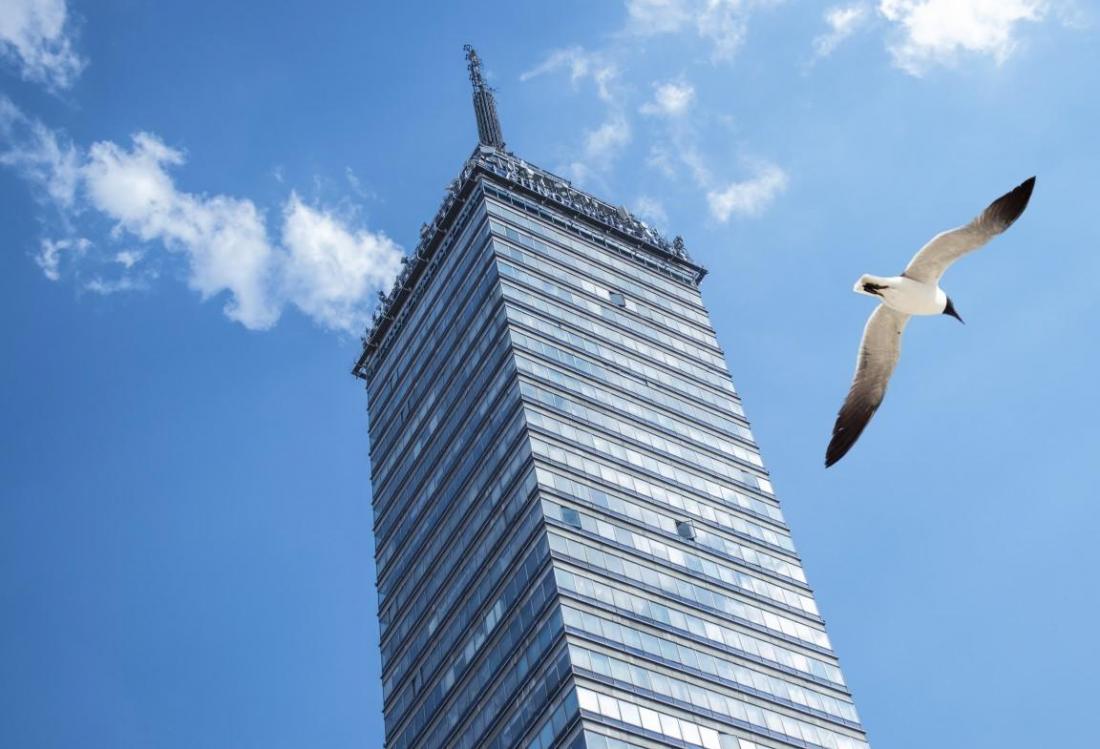 For Birds, Navigating Boston's Skyline Is A Wing And A Prayer