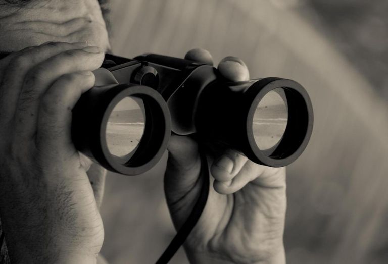 binoculars, private investigators
