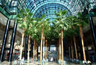 Royal Bank Of Canada Renews For 400k SF At Brookfield Place