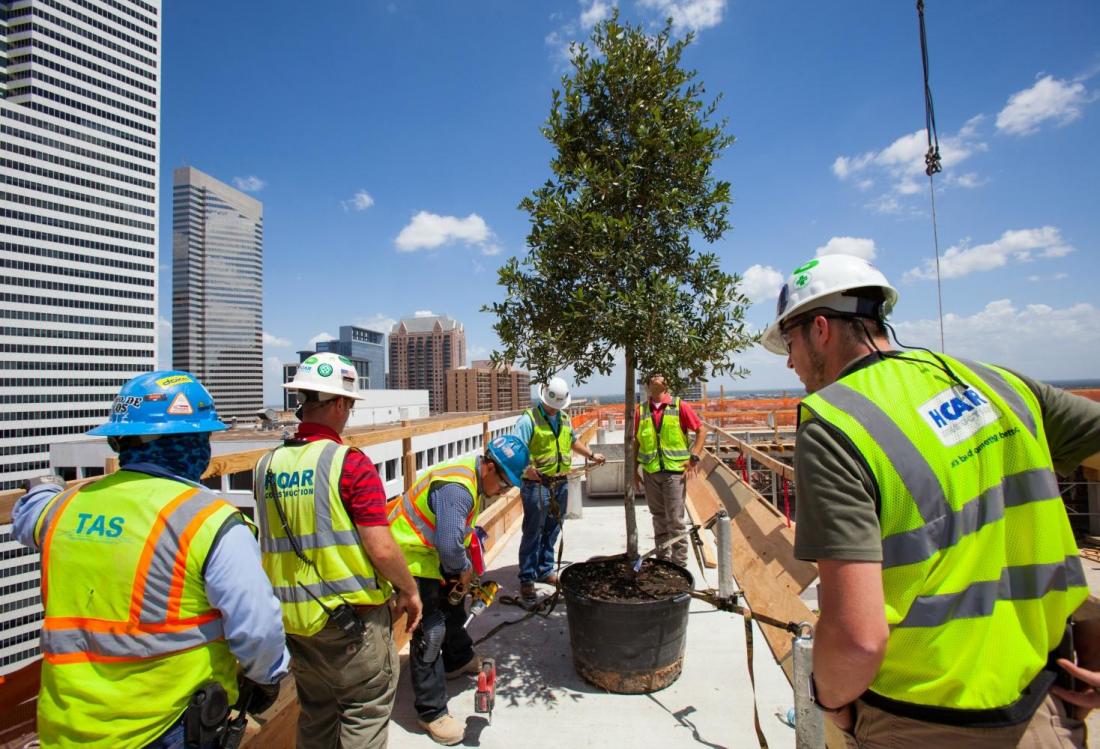 Hotel Alessandra - Topping Out - Aug 2016 - Shannon O-hare