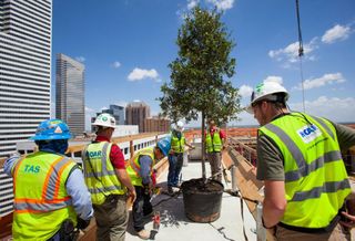 Hotel Alessandra - Topping Out - Aug 2016 - Shannon O-hare