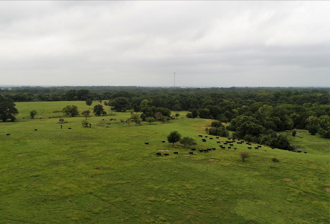 NRG Land Auction 
