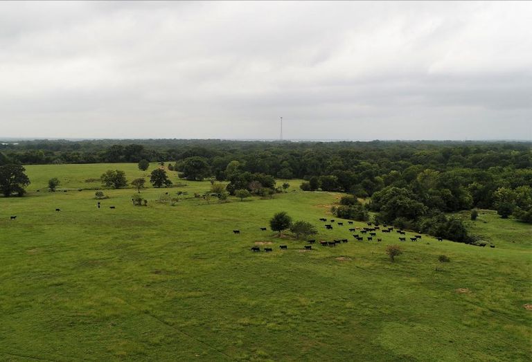 NRG Land Auction 