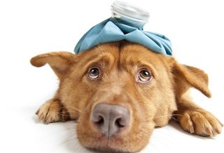 Is Your Property Ready For Flu Season?