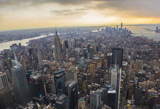Top Broker Jumps Ship From Cushman & Wakefield To Newmark