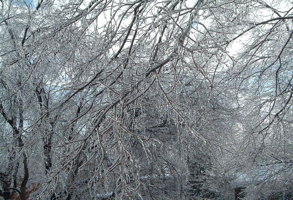 Winter