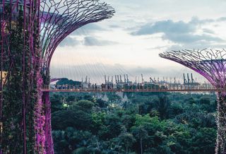 Singapore Outranks China As Largest Asian Investor In U.S. Real Estate