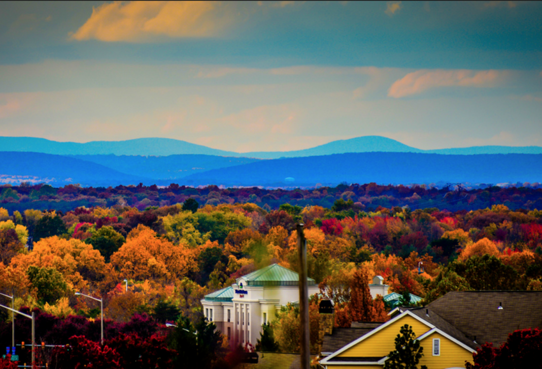 Fairfax Fall