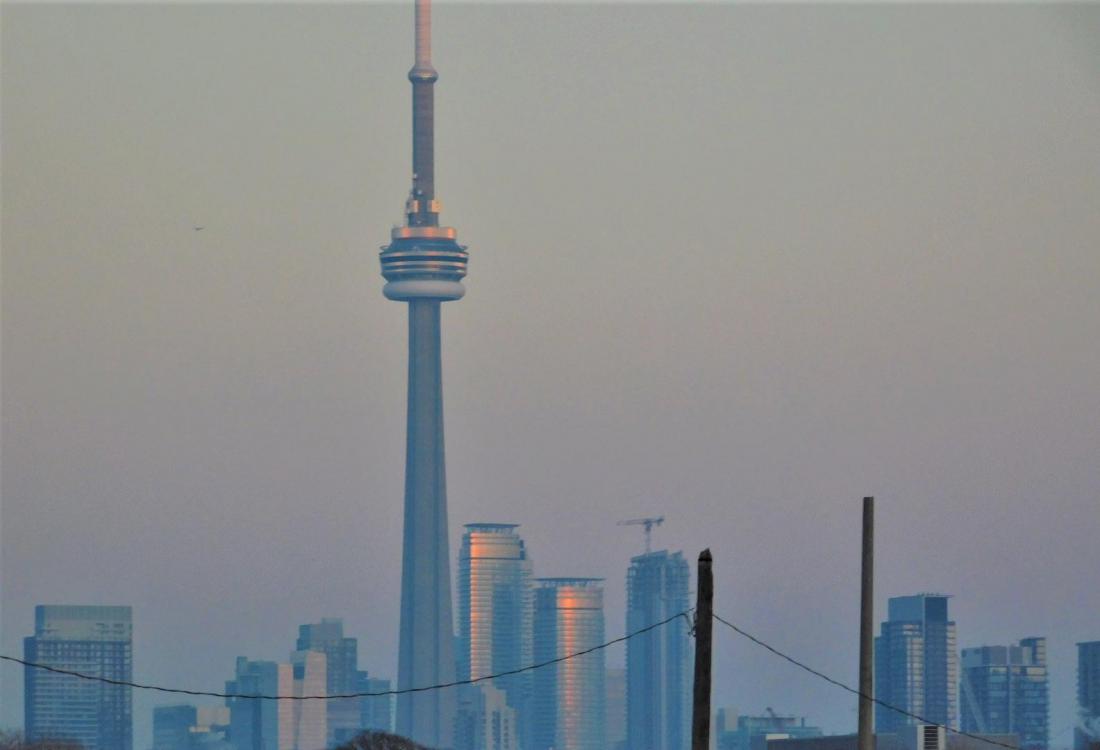 Toronto Skyline Avison Young GTA CN Tower
