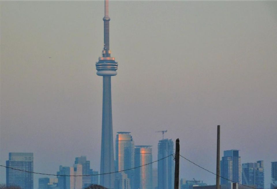 Toronto Skyline Avison Young GTA CN Tower