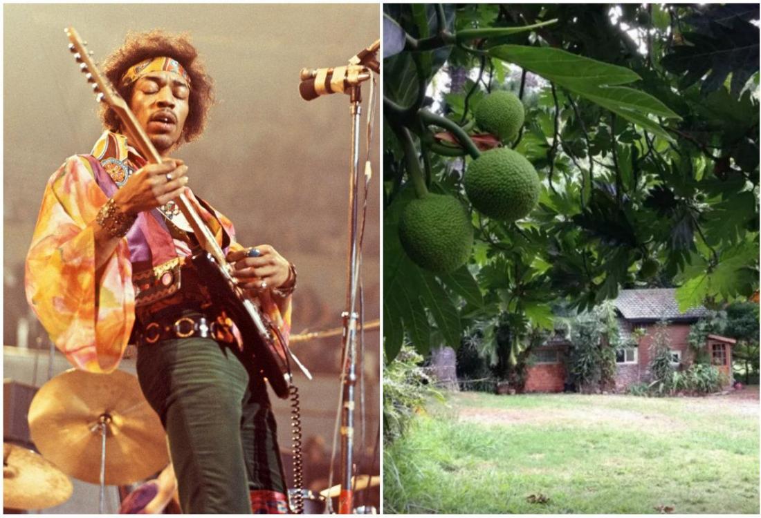 My Celebrity Airbnb: Stay A Night In Jimi Hendrix's Hawaiian Hideaway