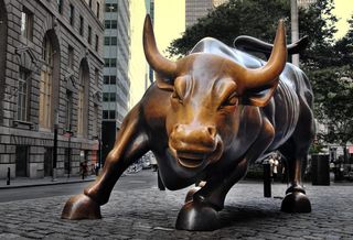 Wall Street Bull
