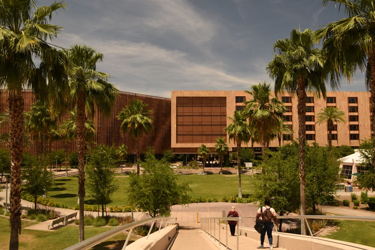 People walking towards a modern building surrounded by palm trees and greenery under a partly cloudy sky.