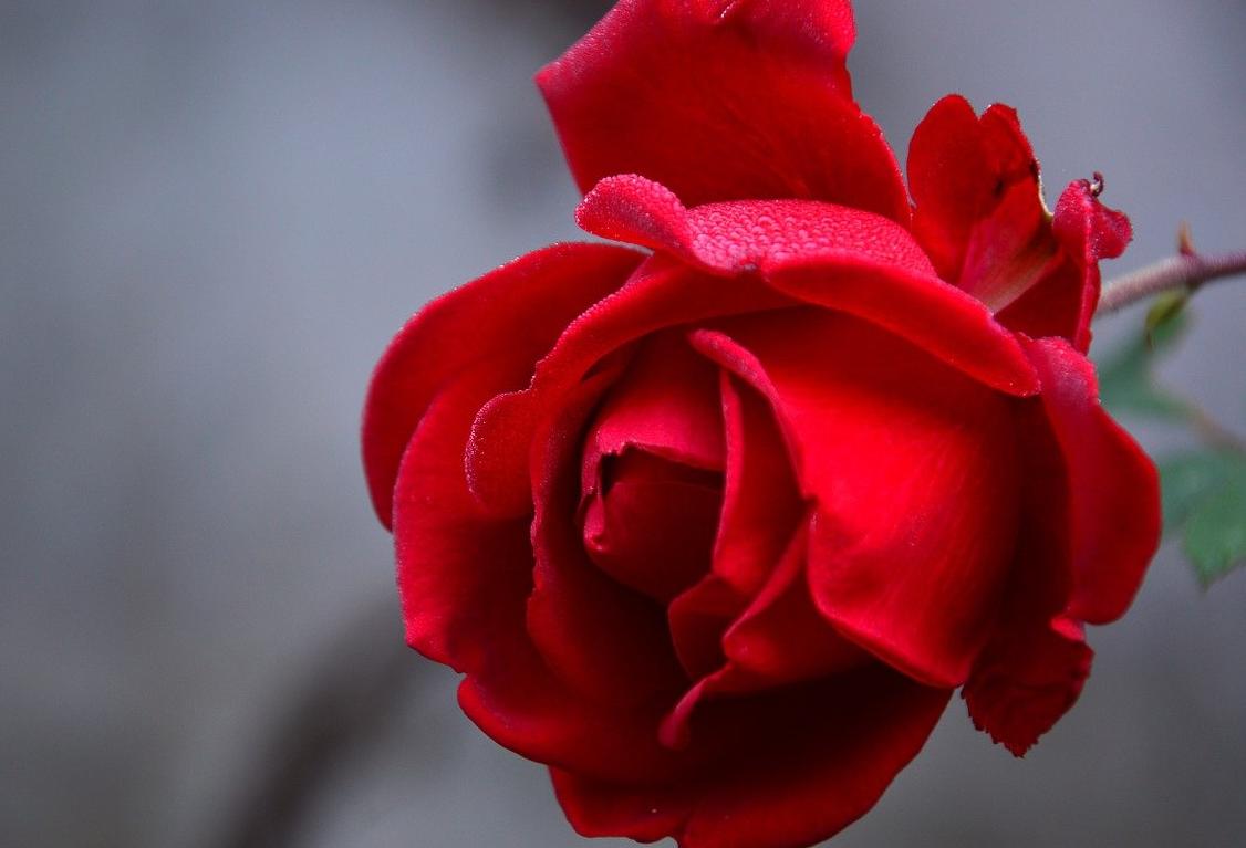Valentine's Day Tragedy: Investors Fall Out Of Love With London Hotels