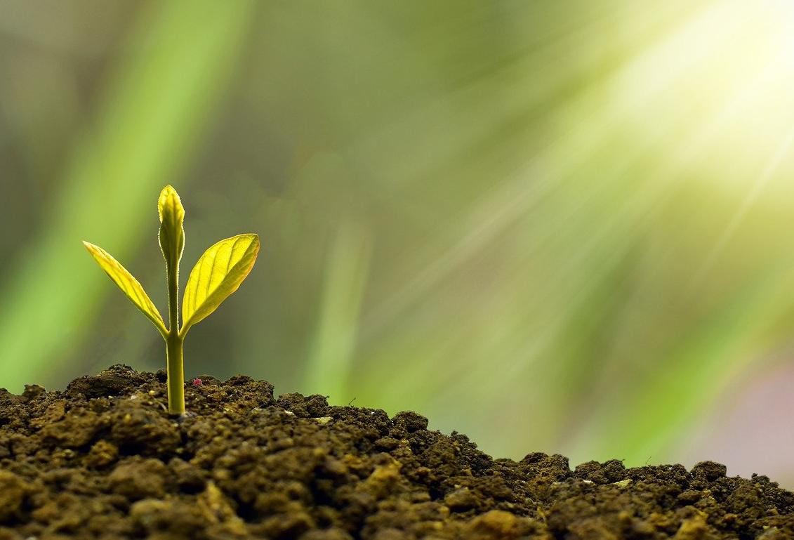 Green Finance Grows With A Pair Of Loans Totalling £285M