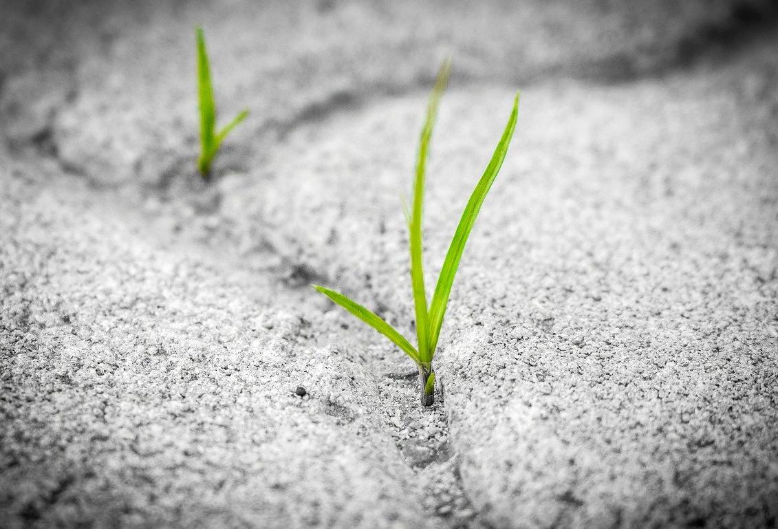 Three Years Early: Aviva Hits Target Of £1B In Loans To Make Properties Greener
