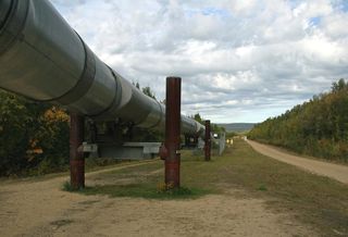 Energy Price Cap Details Will Be Crucial For Property Owners And Tenants
