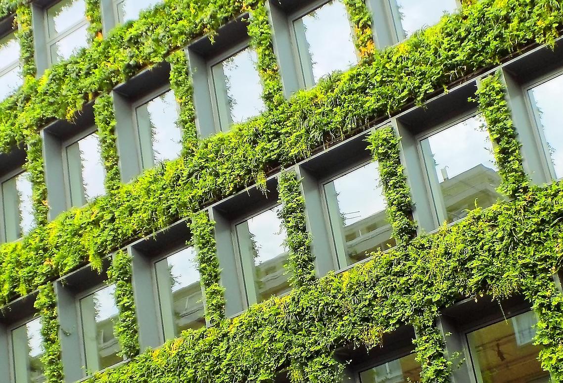 The Green Building Certification System Is Worth Billions — But It Isn’t Helping To Cut Carbon