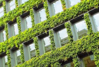 The Green Building Certification System Is Worth Billions — But It Isn’t Helping To Cut Carbon