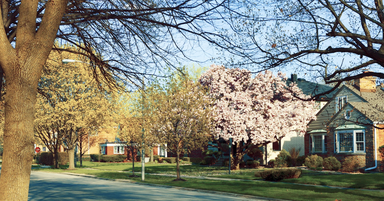 Future of Prince George's County