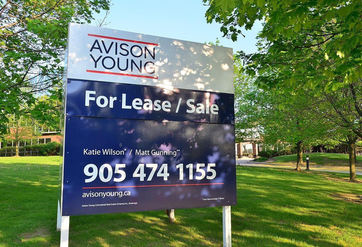 Avison Young