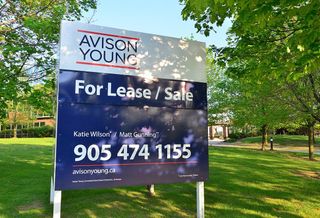 Avison Young