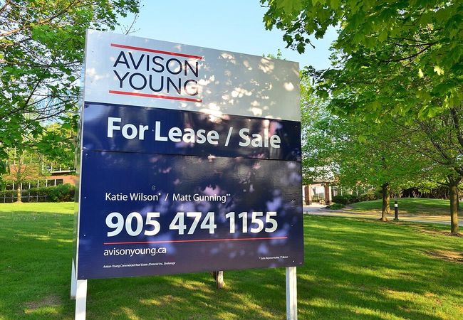 Avison Young