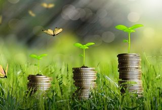 Coins sustainability