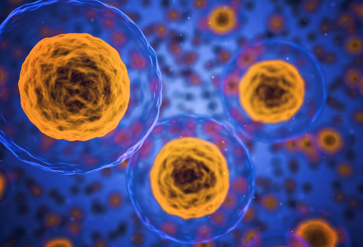 Life sciences cells