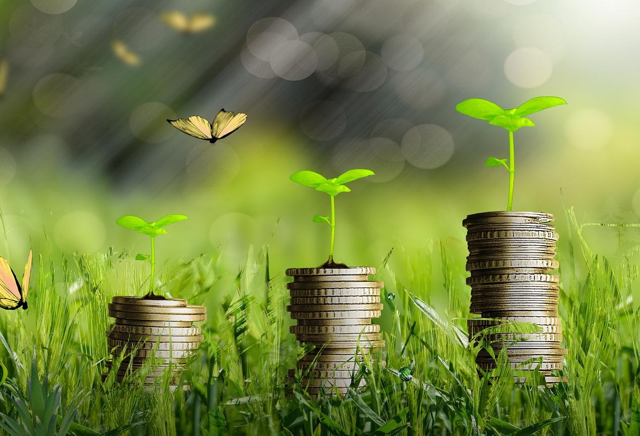 Coins sustainability