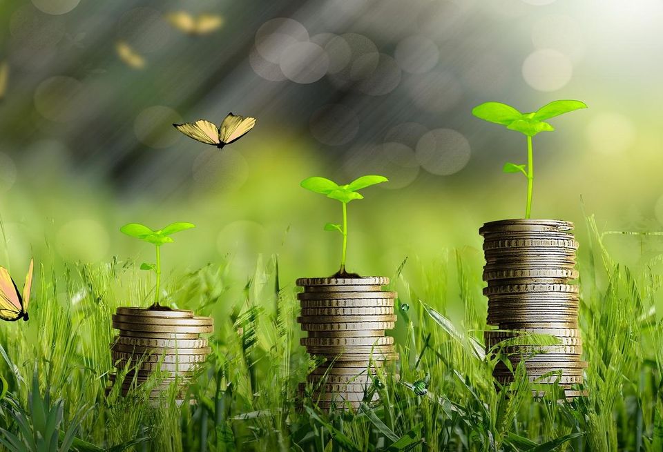 Coins sustainability