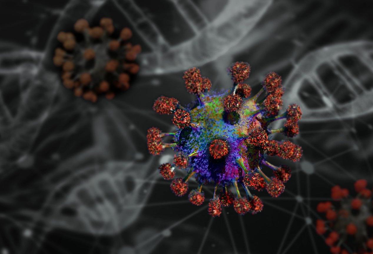 coronavirus