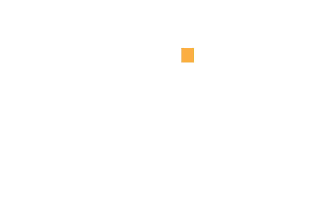 Madison Partners