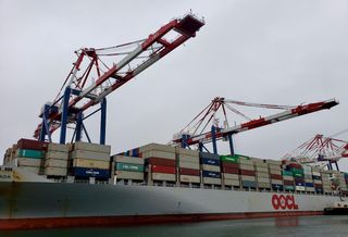 Shipping containers in the Port of Long Beach