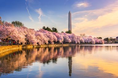 NW DC: New Development, Major Changes & Opportunities in the Highest Barrier-to-Entry Markets