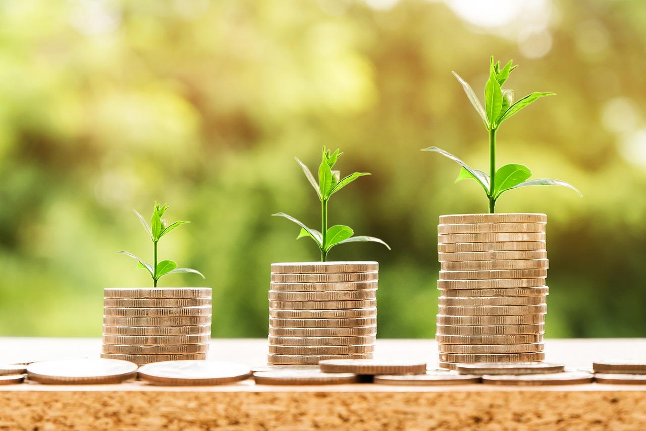 economic growth money