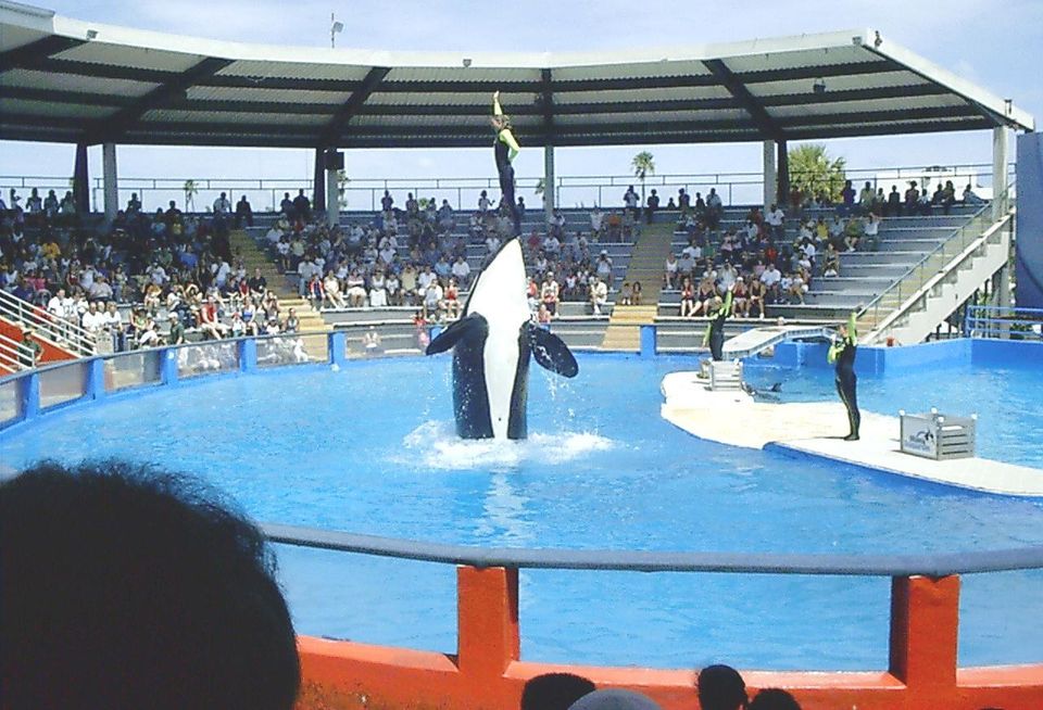 Lolita Miami Seaquarium