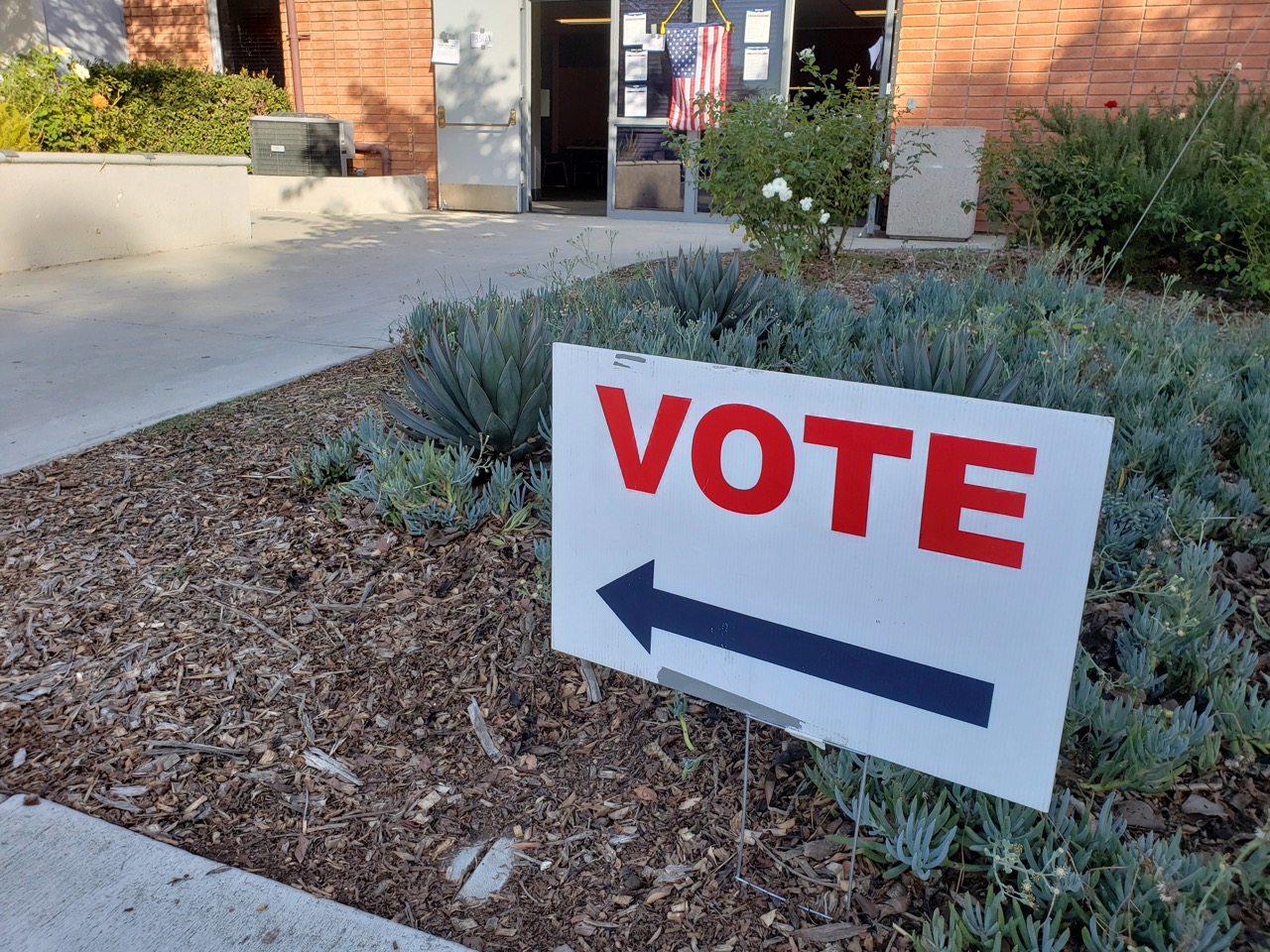Vote sign