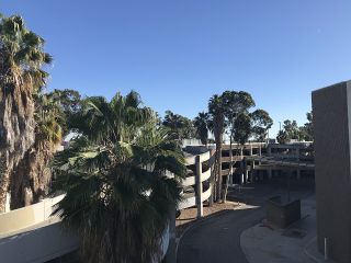 Parking garage with palm trees under a clear blue sky.
