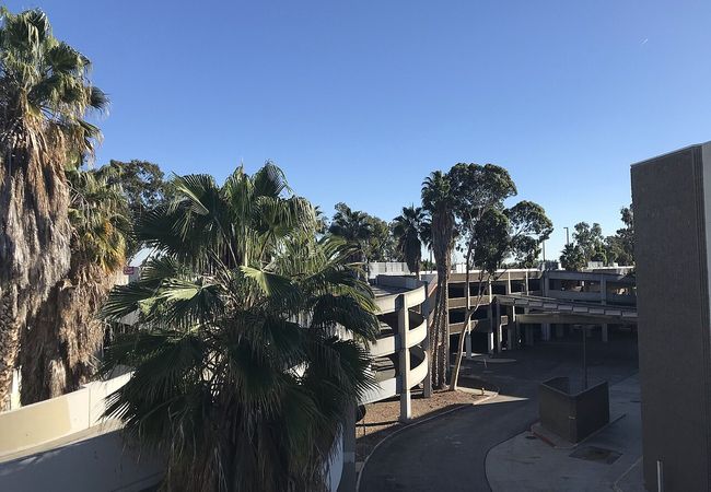 Parking garage with palm trees under a clear blue sky.