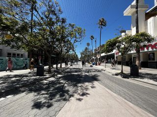 A sunny street scene with people walking, shaded by trees. Shops line the sides and palm trees are visible in the background against a clear sky.