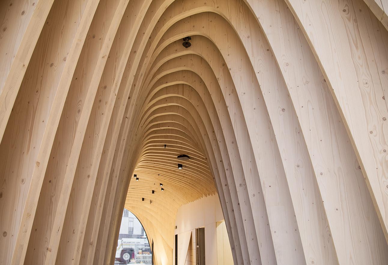 These Investors Want To Drop £850M On Wooden Buildings To Help Save The Planet