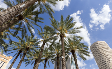 Tampa Multifamily Annual Conference